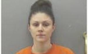 WILKINSON, TANIE ANN | 2017-08-04 Iowa County, Wisconsin Booking