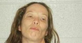 BRIDGET EDWARDS | 2017-08-04 20:50:00 Lincoln County, Tennessee Booking