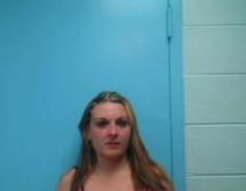 MEGAN HARTER #, Granville County, North Carolina - 2017-08-06 15:52:00