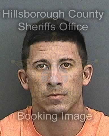 MOSES, JARED CARL #, Hillsborough County, Florida - 2017-08-08 08:59:00