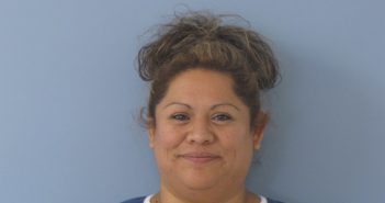 GONZALEZ, ROSA | 2017-08-10 Andrews County, Texas Booking