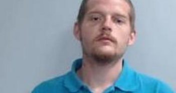 JAMIE RICHARDSON | 2017-08-10 20:13:00 Fayette County, Kentucky Booking