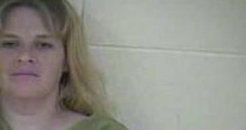 SHERRY WRIGHT | 2017-08-11 01:04:00 Taylor County, Kentucky Booking