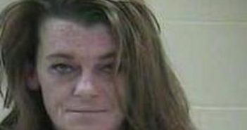 TABITHA COOMER | 2017-08-11 06:00:00 Taylor County, Kentucky Booking