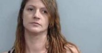 MELISSA YOUNG | 2017-08-11 11:44:00 Fayette County, Kentucky Booking