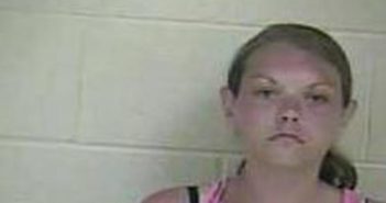 JENNIFER HICKS | 2017-08-11 13:07:00 Taylor County, Kentucky Booking