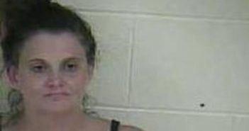 SHELLEY STAPLETON | 2017-08-11 11:56:00 Taylor County, Kentucky Booking