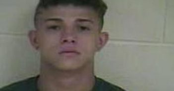 DRAKE WILLEN | 2017-08-11 03:30:00 Taylor County, Kentucky Booking