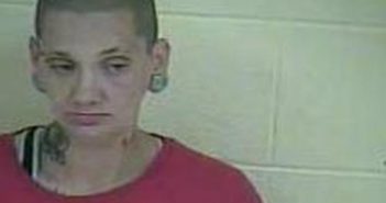 NIKKI WALLS | 2017-08-11 16:29:00 Taylor County, Kentucky Booking