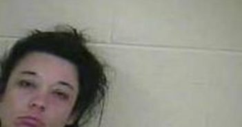 KATHLEEN HUGHES | 2017-08-11 02:05:00 Taylor County, Kentucky Booking