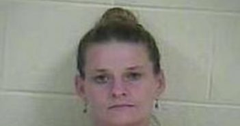 STEPHANIE WOLFE | 2017-08-13 13:22:00 Taylor County, Kentucky Booking