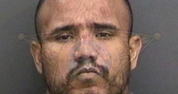 <B>TORRES</B>, RAMON <B>ROBERTO</B> #, Hillsborough County, Florida - 2017-08-14 01:45:00