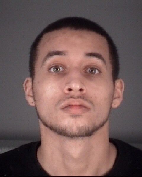 HERNANDEZ, SHAWN MICHAEL (W/M) #, Pasco County, Florida - 2017-08-14 16:17:00