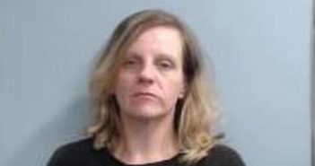 AMY MCATEE | 2017-08-16 13:35:00 Fayette County, Kentucky Booking