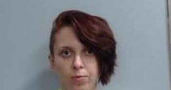 CHRISTINA ALEXANDER | 2017-08-18 15:07:00 Fayette County, Kentucky Booking