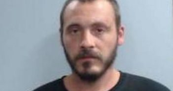 WILLIAM NICKERSON | 2017-08-18 19:14:00 Fayette County, Kentucky Booking