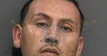 <B>VILLANUEVA</B>, <B>MICHAEL</B> ANGEL #, Hillsborough County, Florida - 2017-08-19 02:13:00