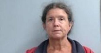 NANCY HAYCRAFT | 2017-08-21 17:36:00 Fayette County, Kentucky Booking