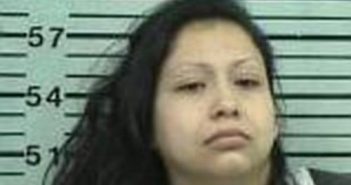 DAMARIS RAMIREZ | 2017-08-22 03:15:00 Hood County, Texas Booking