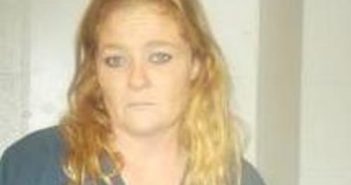 SANDRA MCDONALD | 2017-08-22 05:10:00 Lincoln County, Tennessee Booking
