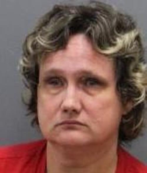 CHARLYN LADERER #, Cayuga County, New York - 2017-08-23 10:50:00