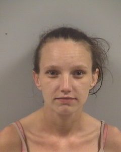 MISTY MICHELLE STANLEY | 2017-08-24 Johnston County, North Carolina Booking