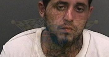 <B>RODRIGUEZ</B>, <B>ANGEL</B> A #, Hillsborough County, Florida - 2017-08-25 18:20:00
