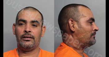 CRUZ, JUNIOR | 2017-08-26 02:41:00 Miami-Dade County, Florida Booking