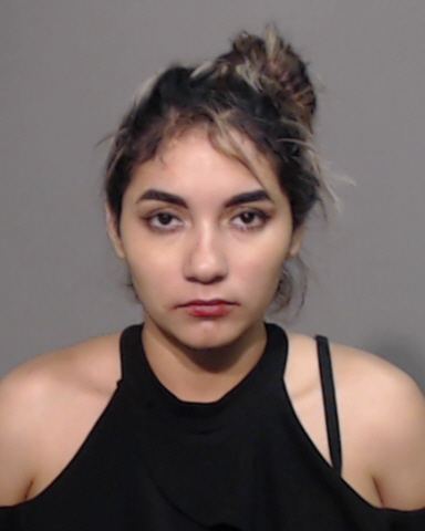 PALACIOS, ASHLEY LEE VICTORIA #, Hidalgo County, Texas - 2017-08-27
