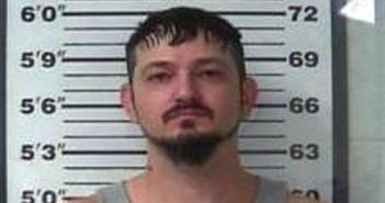 LARRY RICKETTS | 2017-08-29 17:51:00 Gibson County, Tennessee Booking