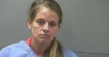TASHA WATT | 2017-08-29 11:59:00 Carroll County, Arkansas Booking