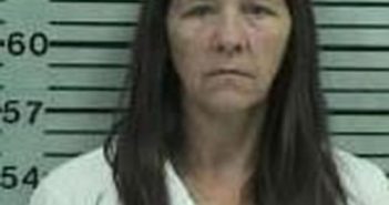 LORI HORN | 2017-09-01 18:46:00 Hood County, Texas Booking