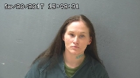 MCCOY RENATE SHANE | 2017-09-03 Van Buren County, Michigan Booking