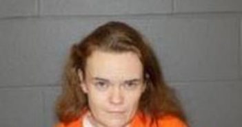 RENEE BRONSON | 2017-09-08 15:45:00 Delaware County, New York Booking