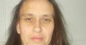 ERICA GARCIA | 2017-09-09 00:05:00 Lincoln County, Tennessee Booking