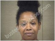 RICHARDSON, ASHELY | 2017-09-13 Harnett County, North Carolina Booking