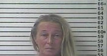 JUDY CUMMINGS | 2017-09-15 21:25:00 Hardin County, Kentucky Booking