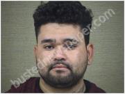RODRIGUEZ, BRIGIDO | 2017-09-17 Harnett County, North Carolina Booking