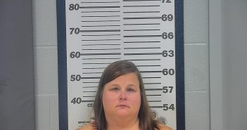 KIMBERLY R INGRAM | 2017-09-17 04:39:00 Platte County, Missouri Booking