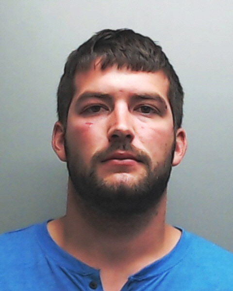 GRIFFIN, JAMES LAWRENCE #, Hays County, Texas - 2017-09-17