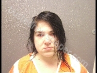 SCHULTZ TORI LEE | 2017-09-17 Jefferson County, Nebraska Booking