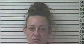 AMANDA JOHNSON | 2017-09-18 01:13:00 Hardin County, Kentucky Booking