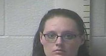 CHRISTIAN WILLIAMS | 2017-09-18 02:16:00 Hardin County, Kentucky Booking