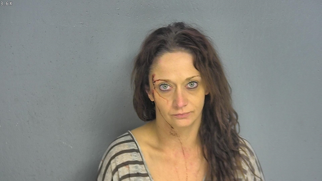 DALACIE ANN GIBSON #, Greene County, Missouri - 2017-09-18 00:51:00