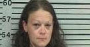 STACY MCINTYRE | 2017-09-19 11:47:00 Hood County, Texas Booking