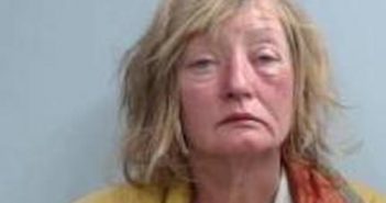 DONNA JOHNSON | 2017-09-22 01:00:00 Fayette County, Kentucky Booking