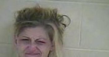 ASHLEY SHEWMAKER | 2017-09-23 13:43:00 Taylor County, Kentucky Booking