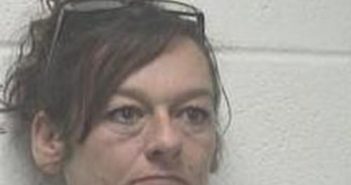 BRIDGET LYNN | 2017-09-23 03:26:00 Robertson County, Tennessee Booking