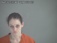 PEAK RACHAEL A | 2017-09-24 Sandusky County, Ohio Booking