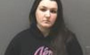 REBELLO, MARY CHRISTINE | 2017-09-26 Iowa County, Wisconsin Booking